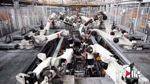 重庆两江新区 加快建设高质量发展引领区与高品质生活示范区 无车教育探索城市绿色未来